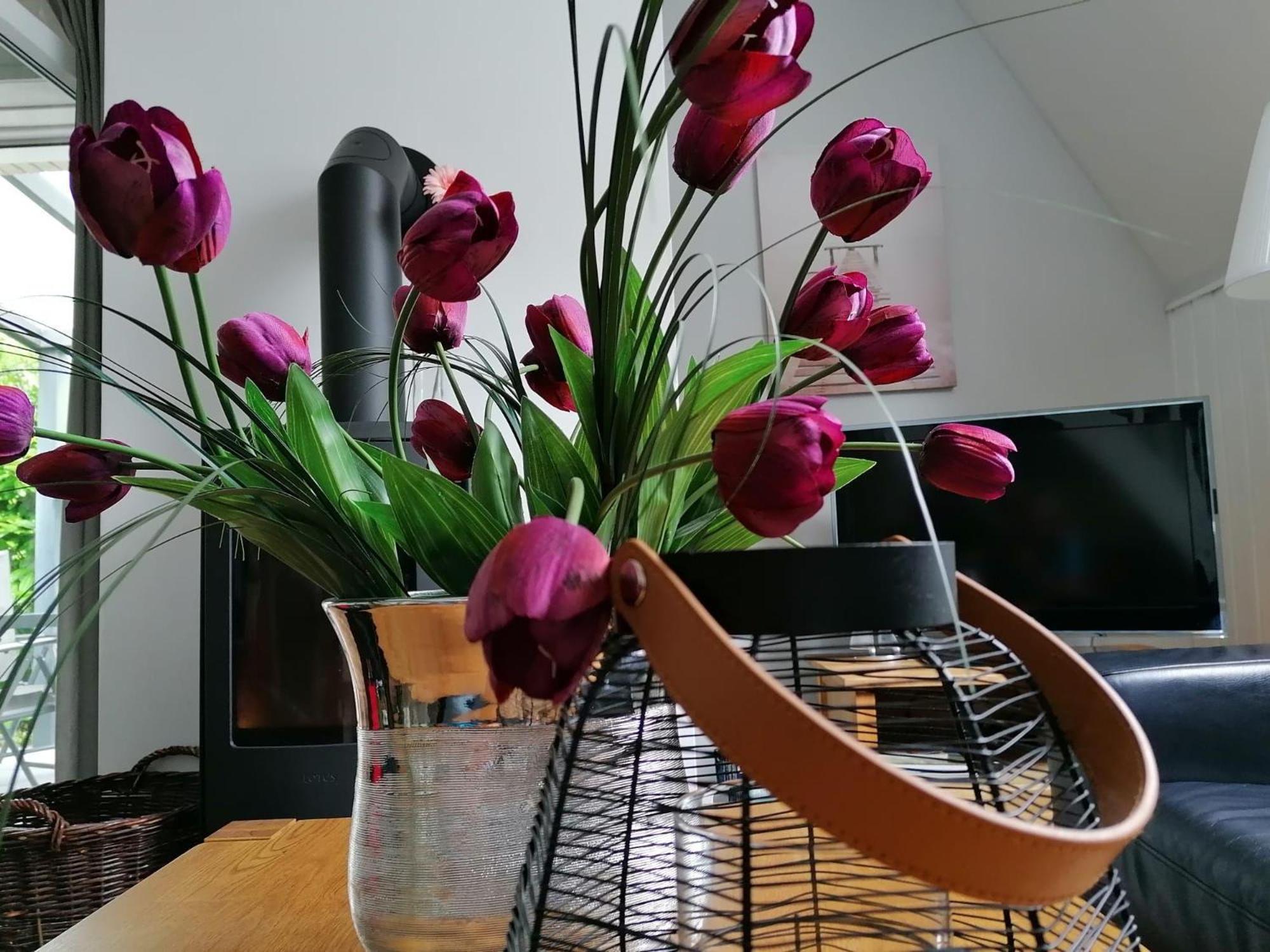 Ferienhaus-Slanitz ฮาร์เลอซีล ภายนอก รูปภาพ